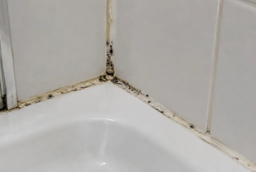 Kitbedrijf Badhoevedorp – beschimmelde kitranden